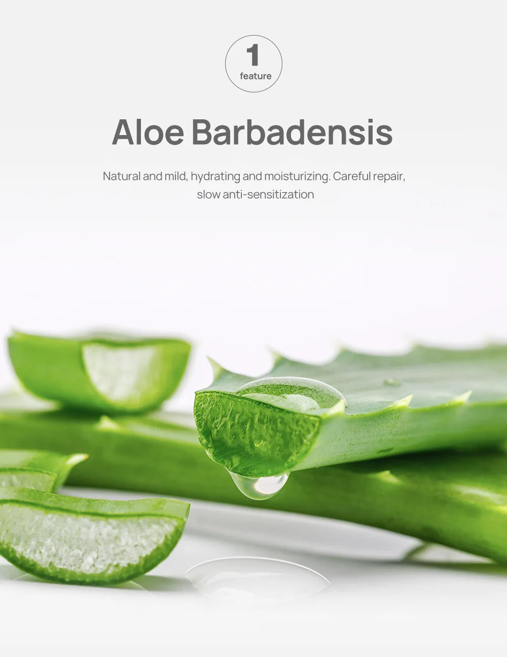 Deep Pore Cleanse